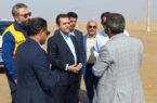 مدیرعامل شرکت توزیع نیروی برق خوزستان در بازدید از وضعیت شبکه برق هندیجان؛رضایت مشترکین اولویت اصلی شرکت توزیع برق خوزستان است