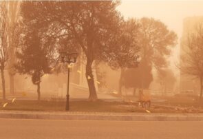 وزش باد شدید همراه با گردو غبار زندگی مردم شهر اردبیل را مختل کرده است