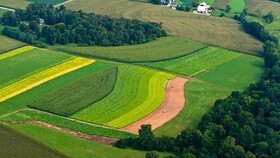 تثبیت حدود اراضی زراعی و صدور اسناد تمامی اراضی کشاورزی استان