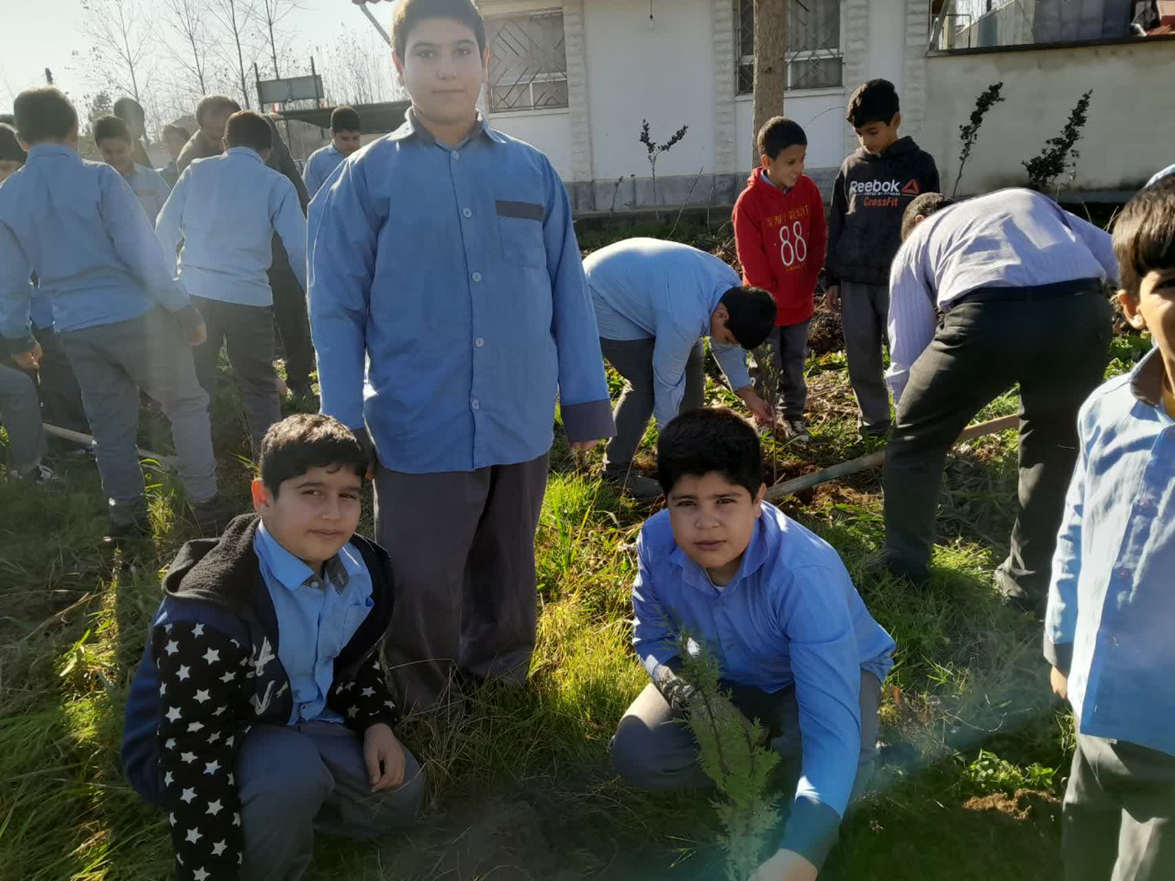 اجرای طرح کاشت یک میلیارد درخت در لاهیجان