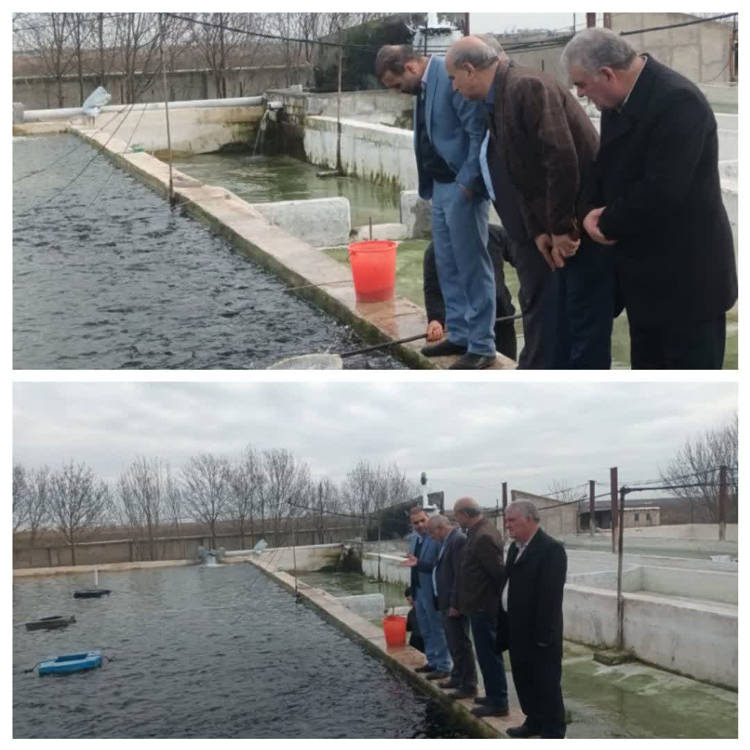 احیاء  مزرعه پرورش ماهی کشت و صنعت فردوس