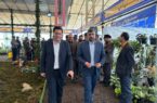 چهارمین نمایشگاه گل و گیاه شهرداری لاهیجان افتتاح شد