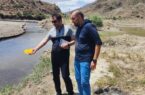 آغاز مرحله نخست اجرایی طرح های مطالعاتی امکان سنجی توسعه شیلات