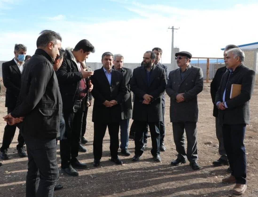 تامین مرغ و جوجه ۱۲ استان کشور توسط استان اردبیل