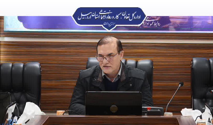 پرداخت ۷۰۳ میلیارد ریال تسهیلات مشاغل خانگی در استان