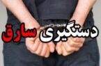 دستگيری سارق سابقه دار سيم و کابل برق در نمين