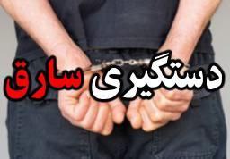 دستگيری سارق سابقه دار سيم و کابل برق در نمين