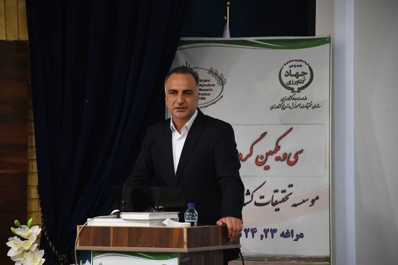 برداشت ۸ میلیون تن محصول از اراضی دیم کشور در سال گذشته