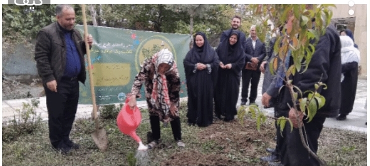 پویش کاشت نهال بمناسبت روز ملی سالمندان در استان اردبیل