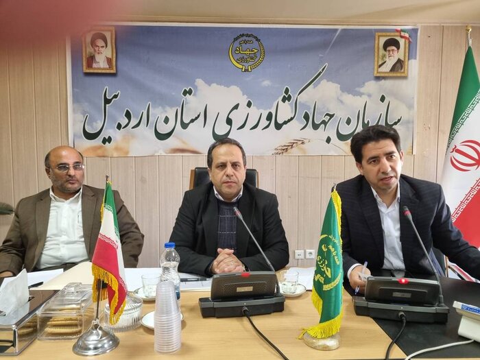 کاهش ۶۰ درصدی کشت جالیزی زیرنایلونی در اردبیل / هشدار نسبت به آلودگی زیستمحیطی و پیامدهای اقتصادی