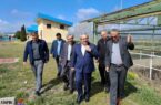 افتتاح نیروگاه خورشیدی ۵۰ کیلوواتی در انبار نفت شهید بهفر منطقه اردبیل افتتاح نیروگاه خورشیدی ۵۰ کیلوواتی در انبار نفت شهید بهفر منطقه اردبیل
