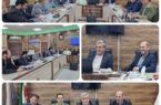 پلمپ کارگاههای چوببری متخلف در اردبیل؛ تأکید بر برخورد قاطع با تخلفات منابع طبیعی