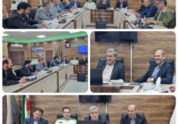 پلمپ کارگاههای چوببری متخلف در اردبیل؛ تأکید بر برخورد قاطع با تخلفات منابع طبیعی پلمپ کارگاههای چوببری متخلف در اردبیل؛ تأکید بر برخورد قاطع با تخلفات منابع طبیعی
