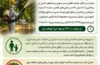 آغاز عملیات سمپاشی درختان در سطح شهر اردبیل