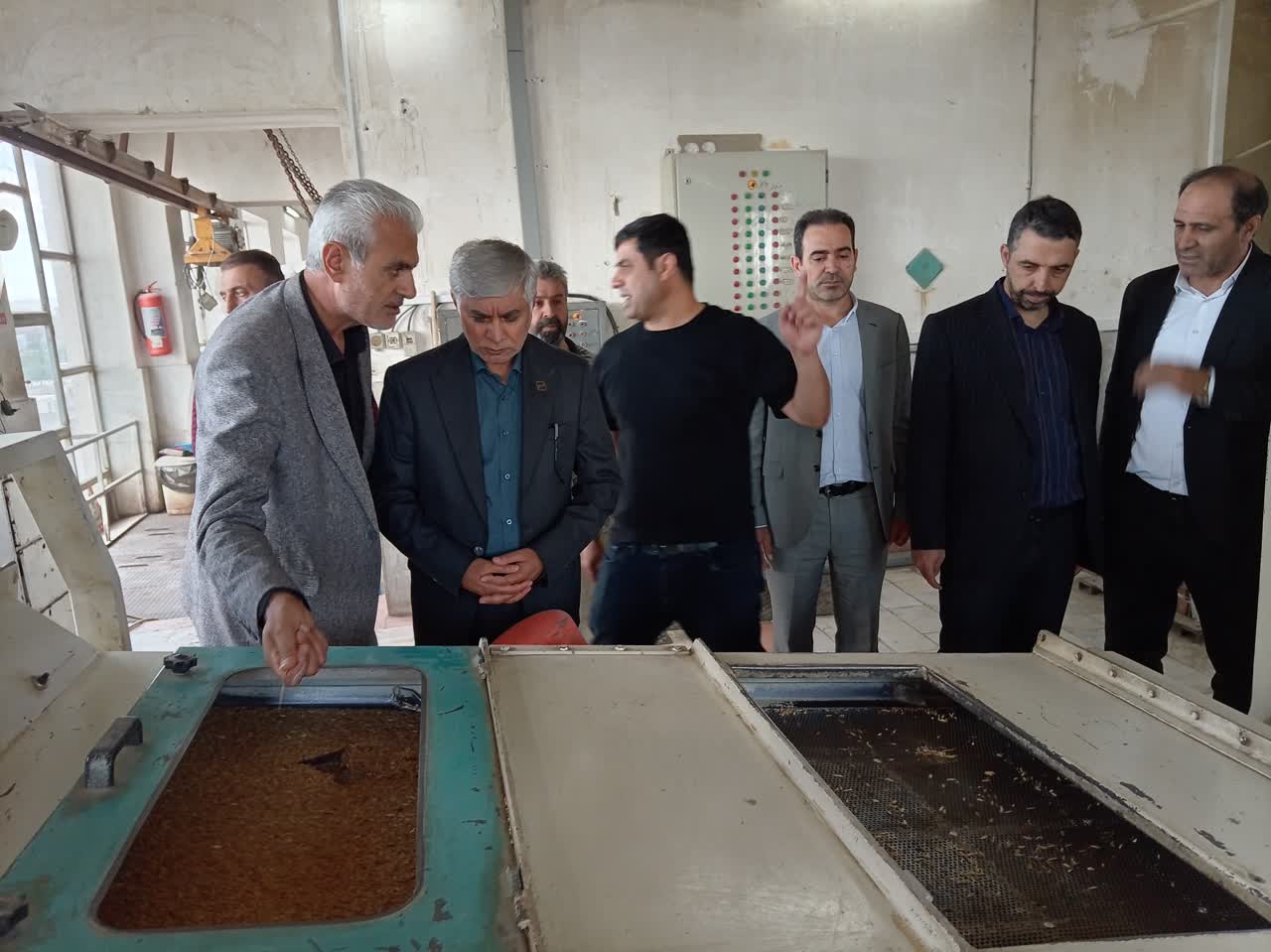 رعایت استانداردهای کیفی در زنجیره تأمین گندم و آرد از اولویت‌های سازمان ملی استاندارد