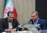 مدیرکل شیلات استان اردبیل: تولید بیش از ۱۶ هزار تن محصولات شیلاتی، حاصل برنامه‌ریزی و حمایت از بخش آبزی‌پروری است