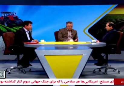 اجرای الگوی کشت در ۹۶ درصد اراضی کشاورزی استان