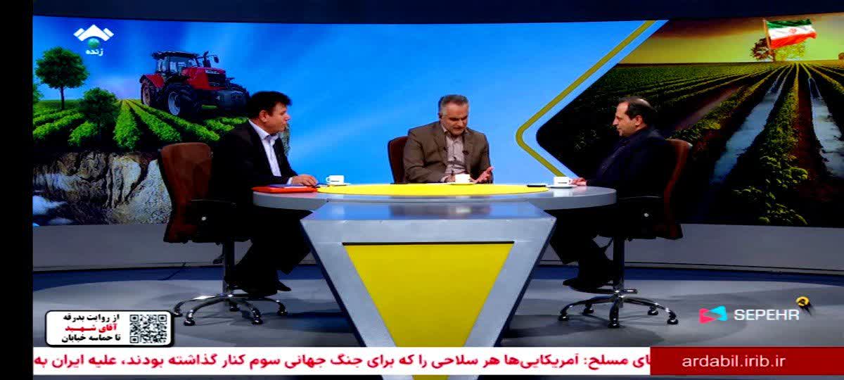 اجرای الگوی کشت در ۹۶ درصد اراضی کشاورزی استان
