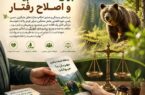 »مجازات جایگزین حبس